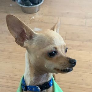 Meet your Posher, Heather